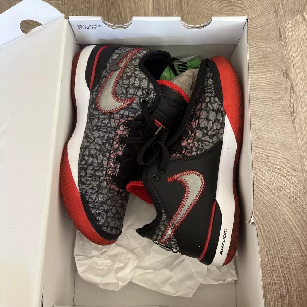 Nike Zoom Lebron NXXT GEN Trainers FaZe Clan DR8784 001 James LBJ Worn Once